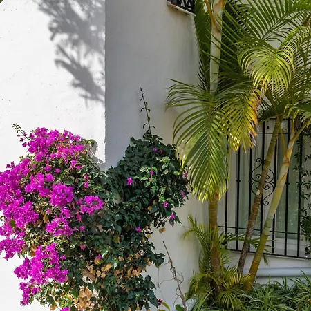 Casablanca 35 Oasis